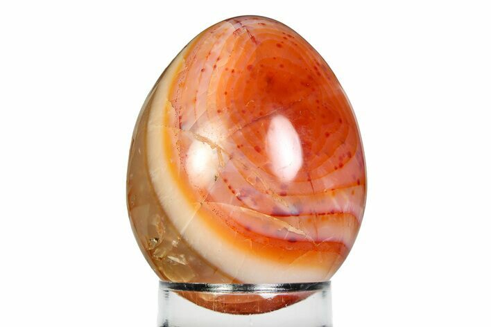 Vibrant Polished Carnelian Agate Egg - Madagascar #355485